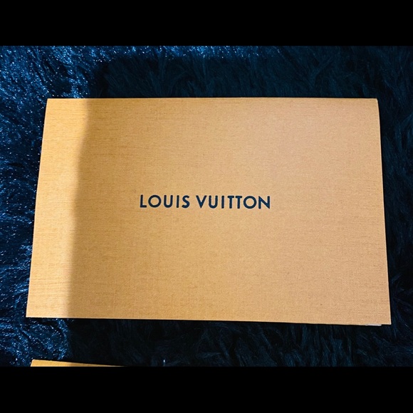 Louis Vuitton Envelopes (6) - Picture 3 of 4